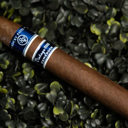 Rocky Patel Vintage Aged 8 Years Cameroon Torpedo