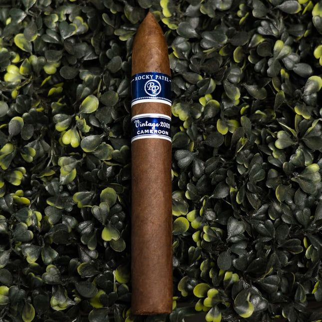 Rocky Patel Vintage Aged 8 Years Cameroon Torpedo