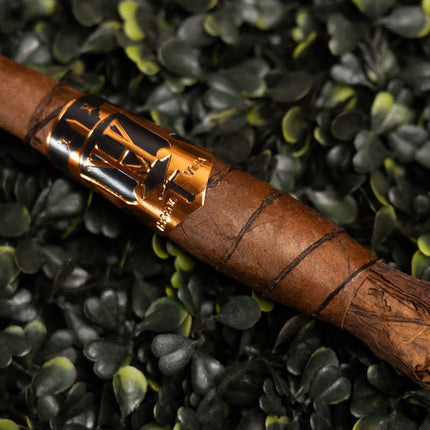 Sinistro Habana Vieja