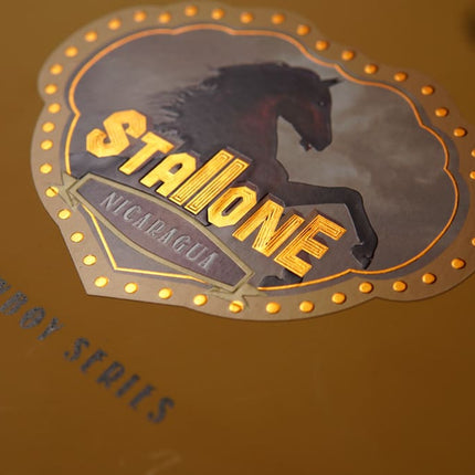 Stallone Palomino Connecticut
