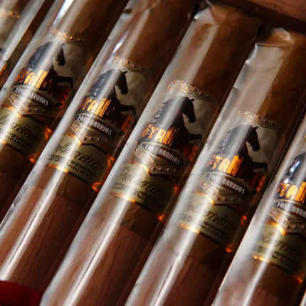 cigar