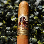 Robusto Box of 20