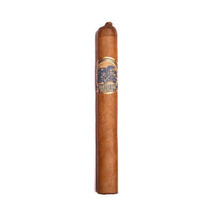 Foundation Charter Oak Pegnataro