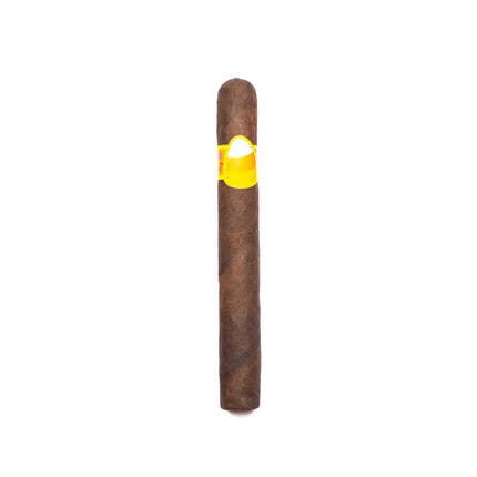 cigar