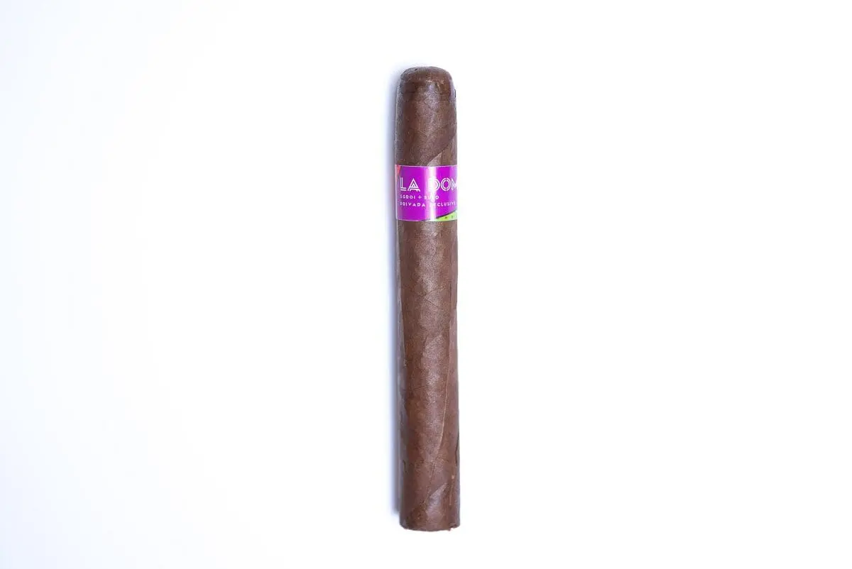 La Domita Aged 1.5+ Years