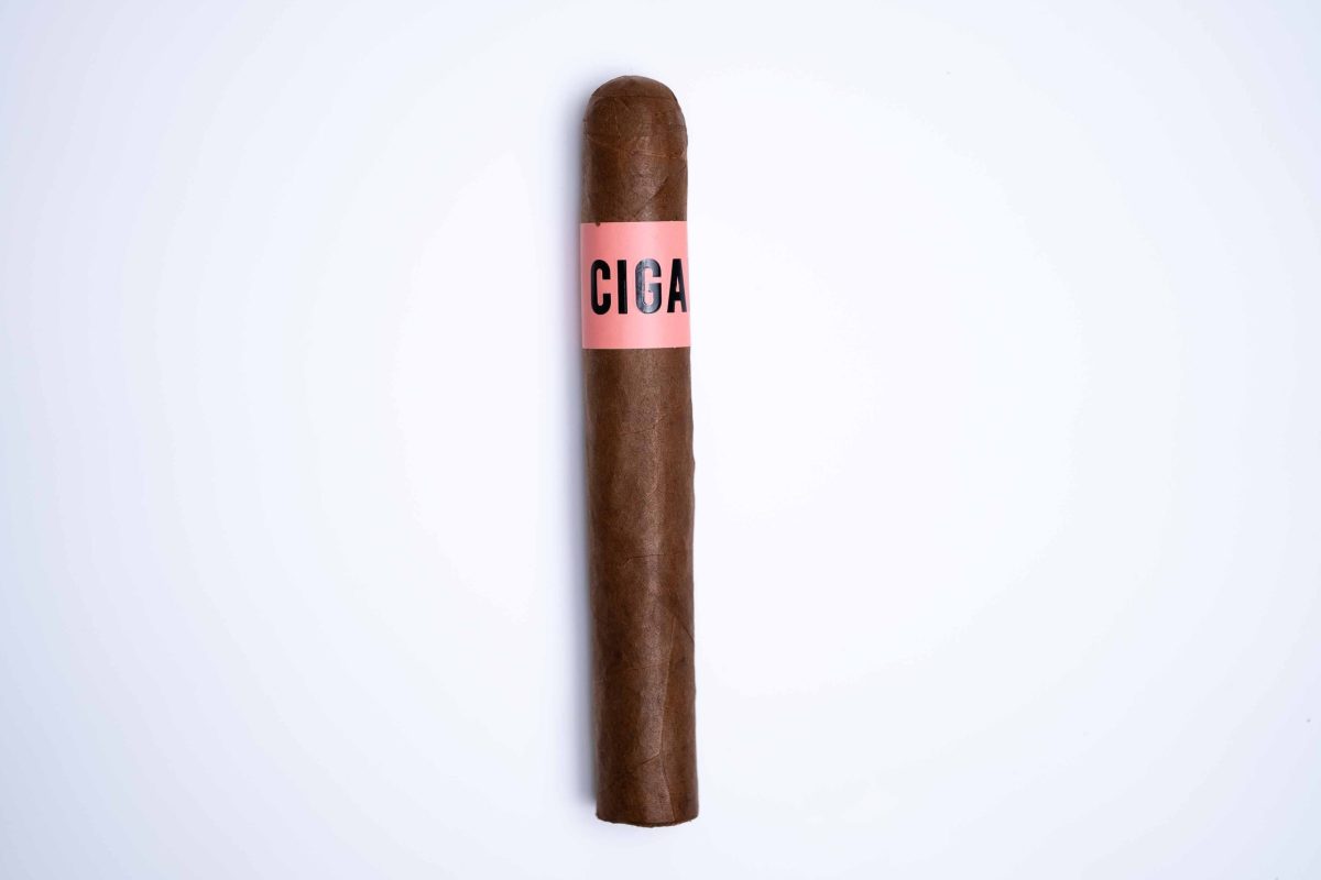 Cigar Rose 1 Cigar