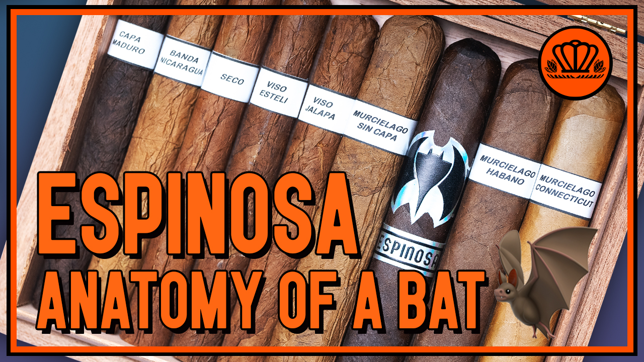 Espinosa Anatomy of a Bat