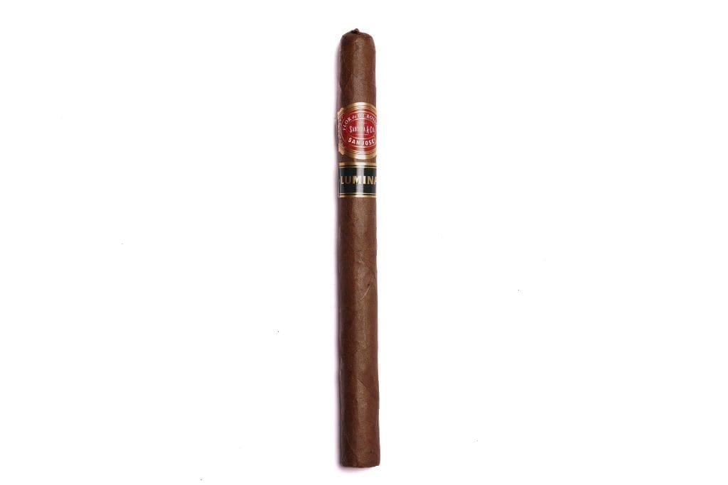 Flor De D'Crossier Lumina
